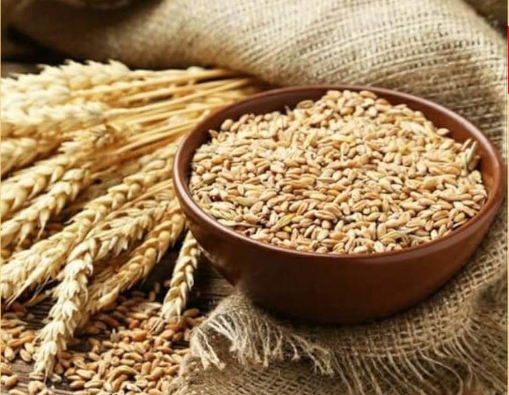 Tenders invited till 23rd for labour and transportation work for wheat procurement